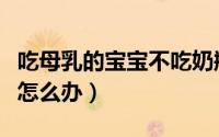 吃母乳的宝宝不吃奶瓶怎么办（宝宝不吃奶瓶怎么办）