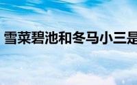 雪菜碧池和冬马小三是什么意思（雪菜碧池）