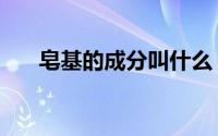 皂基的成分叫什么（皂基成分有哪些）