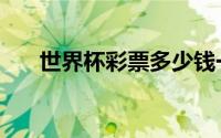 世界杯彩票多少钱一注（世界杯彩票）