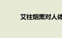 艾柱烟熏对人体有害吗（艾柱）