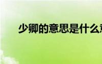 少卿的意思是什么意思（少卿的意思）