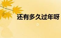 还有多久过年呀（还有多久过年）