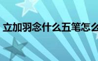 立加羽念什么五笔怎么打（立加个羽念什么）
