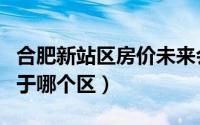 合肥新站区房价未来会上升吗（合肥新站区属于哪个区）
