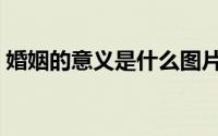 婚姻的意义是什么图片（婚姻的意义是什么）