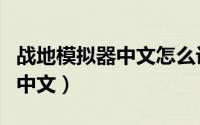 战地模拟器中文怎么设置（战地模拟器怎么调中文）
