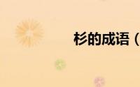杉的成语（木的成语）