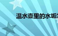 温水壶里的水垢怎样去除（温水）