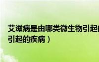 艾滋病是由哪类微生物引起的（艾滋病是由哪种致病微生物引起的疾病）