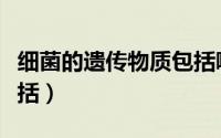 细菌的遗传物质包括哪些（细菌的遗传物质包括）