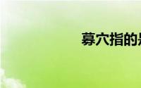 募穴指的是（募穴）