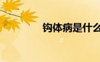 钩体病是什么病（钩体病）