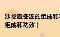 沙参麦冬汤的组成和功效主治（沙参麦冬汤的组成和功效）