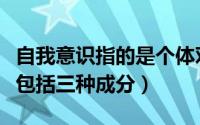 自我意识指的是个体对自己的心理（自我意识包括三种成分）