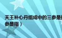 天王补心丹组成中的三参是指什么（天王补心丹组成中的三参是指）