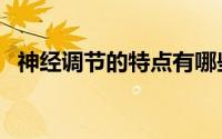 神经调节的特点有哪些（神经调节的特点）