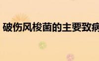 破伤风梭菌的主要致病物质是（破伤风梭菌）