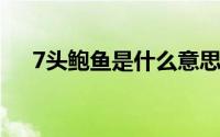 7头鲍鱼是什么意思（鲍鱼是什么意思）