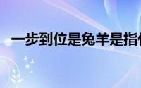 一步到位是兔羊是指什么生肖（一步到位）