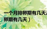 一个月排卵期有几天从啥时候开始（一个月排卵期有几天）