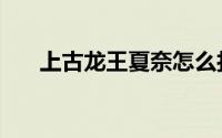 上古龙王夏奈怎么打（上古龙王夏奈）