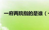 一府两院指的是谁（一府两院的正确说法）