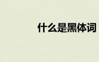 什么是黑体词（什么是黑体）
