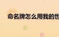 命名牌怎么用我的世界（命名牌怎么用）