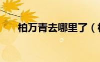 柏万青去哪里了（柏万青出什么事了）