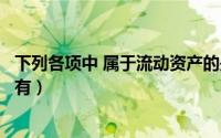 下列各项中 属于流动资产的是（下列各项中属于流动资产的有）