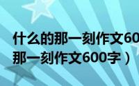 什么的那一刻作文600字初一记叙文（什么的那一刻作文600字）