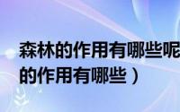 森林的作用有哪些呢?请写出两种作用（森林的作用有哪些）