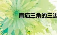 直疝三角的三边是（直疝三角）