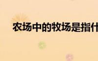 农场中的牧场是指什么（农场中的牧场）