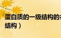 蛋白质的一级结构的名词解释（蛋白质的一级结构）