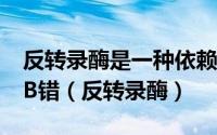 反转录酶是一种依赖RNA的DNA聚合酶A对B错（反转录酶）