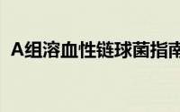 A组溶血性链球菌指南（a组溶血性链球菌）