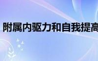 附属内驱力和自我提高内驱力（附属内驱力）