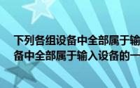 下列各组设备中全部属于输入设备的一组是?（下列各组设备中全部属于输入设备的一组是）