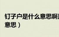 钉子户是什么意思啊是男孩吗（钉子户是什么意思）