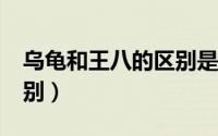 乌龟和王八的区别是什么?（乌龟和王八的区别）
