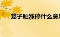 笼子触涨停什么意思（涨停什么意思）