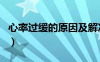 心率过缓的原因及解决办法（心率过缓的原因）