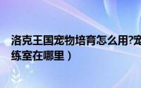 洛克王国宠物培育怎么用?宠物在哪培育?（洛克王国宠物训练室在哪里）