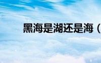 黑海是湖还是海（里海是湖还是海）