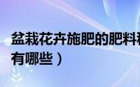 盆栽花卉施肥的肥料种类（盆栽花卉常用肥料有哪些）