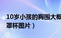 10岁小孩的胸围大概是多少?（10岁小学生d罩杯图片）