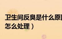 卫生间反臭是什么原因引起的（卫生间反臭味怎么处理）