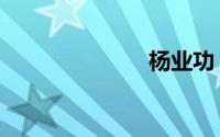 杨业功（杨业）